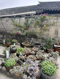 探秘千年家族密碼！荊坪古村祠堂