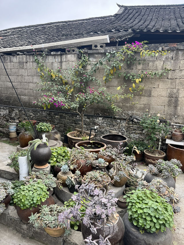 探秘千年家族密碼！荊坪古村祠堂