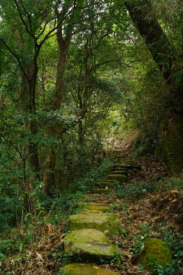 德化濟美橋（二）