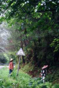 ——喺自然秘境中,喚醒生活嘅詩意