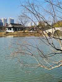 鳳城河畔尋古韻：一場跨越千年的水城之旅
