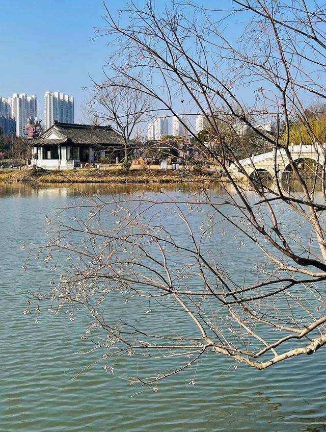 鳳城河畔尋古韻：一場跨越千年的水城之旅