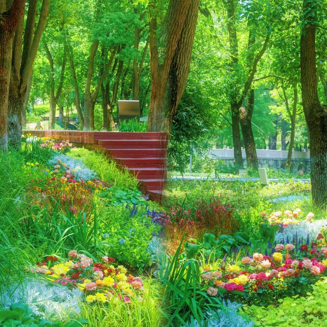 吳江呢個公園嘅日落真係好靚呀