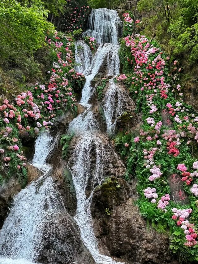 夏天短暫避暑好去處—洛陽