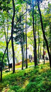 萬佛湖風景區 | 邂逅湖光山色，美到心醉