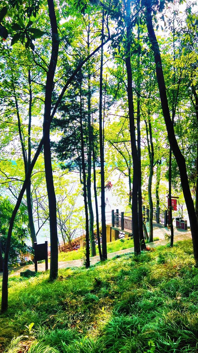萬佛湖風景區 | 邂逅湖光山色，美到心醉