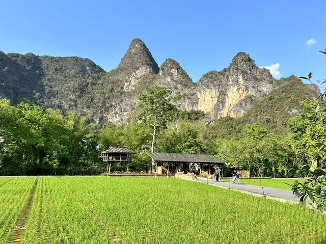 這裡不是瑞士，是廣西崇左明仕田園