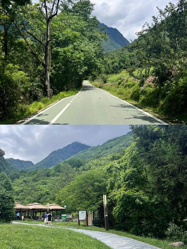 唐家河