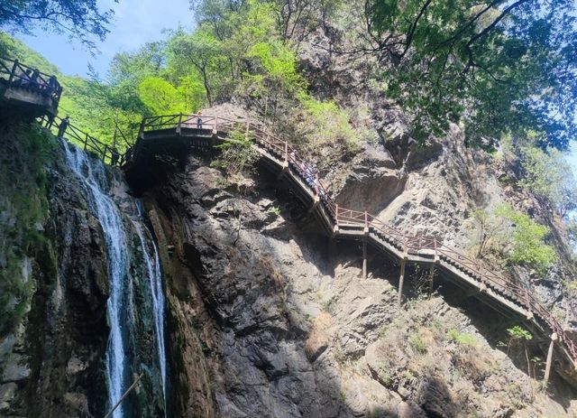 商南縣旅遊推薦