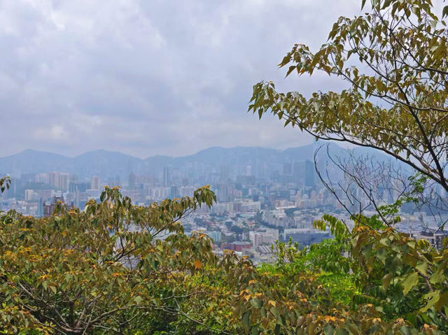 香港獅子山徒步全攻略：俯瞰九龍全景的都市秘境