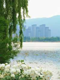 入住昆明翠湖麗瑞德酒店帶你邂逅初夏的大觀樓