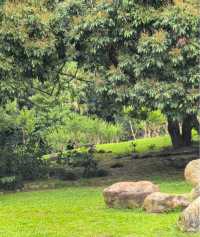 一齊去公園行下·深圳仙湖植物園！