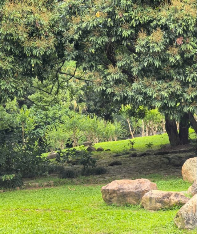 一齊去公園行下·深圳仙湖植物園！