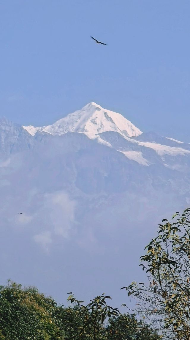 我搵到可以瞓喺床度睇雪山嘅地方