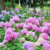 杭州必去！白塔公園隱藏版浪漫打卡地✨