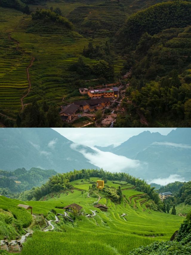 雲和梯田：喺山水間繪就嘅金色畫卷