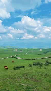 烏蒙山大斷崖自駕，闖入地球邊緣