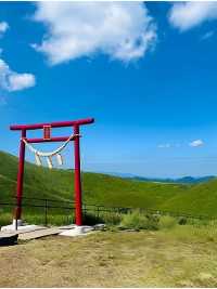 懶人福音！躺玩伊豆抹茶山海岸無腦跟遊