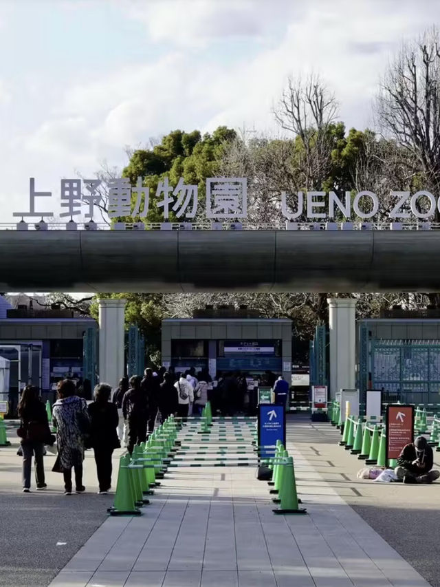 上野動物園：把熊貓的可愛帶回家