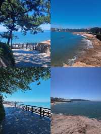 青島已回。。。能幫一個是一個