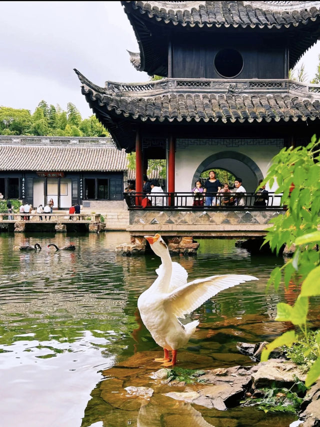 難怪呢度係江蘇嘅省會，去完一次仲想再去！