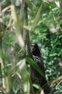 請收好這份限定攻略｜南京紅山森林動物園