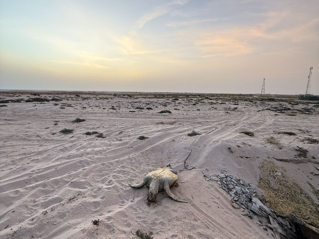 Hidden Gem of the Middle East – Oman 🇴🇲
