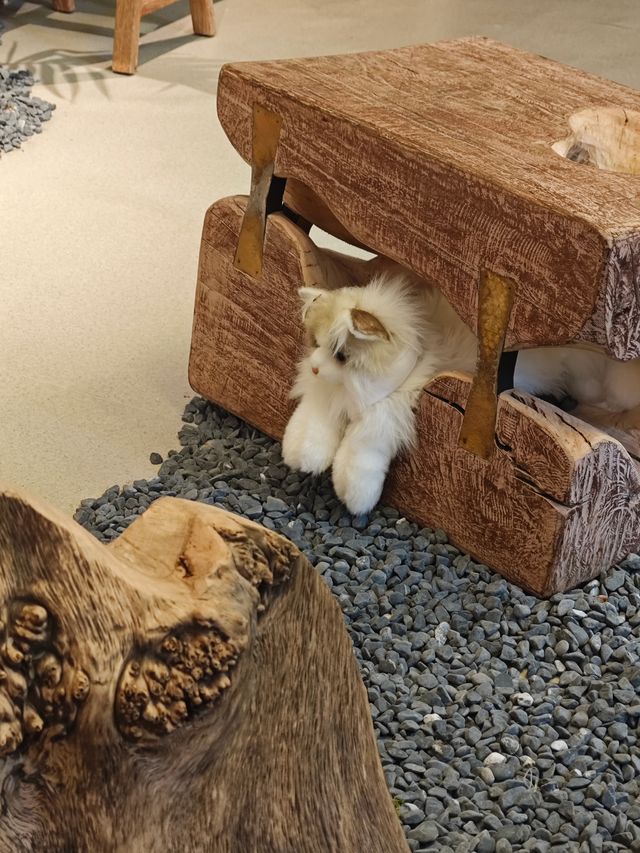梅雨季捉迷藏！綠意小屋吸貓指南