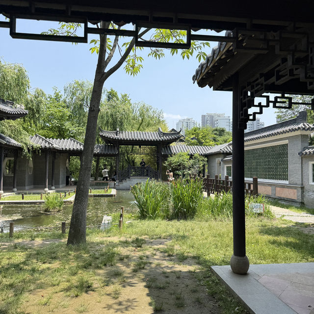 수원에서 만나볼 수 있는 중국식 공원에서 힐링해보세요🍃