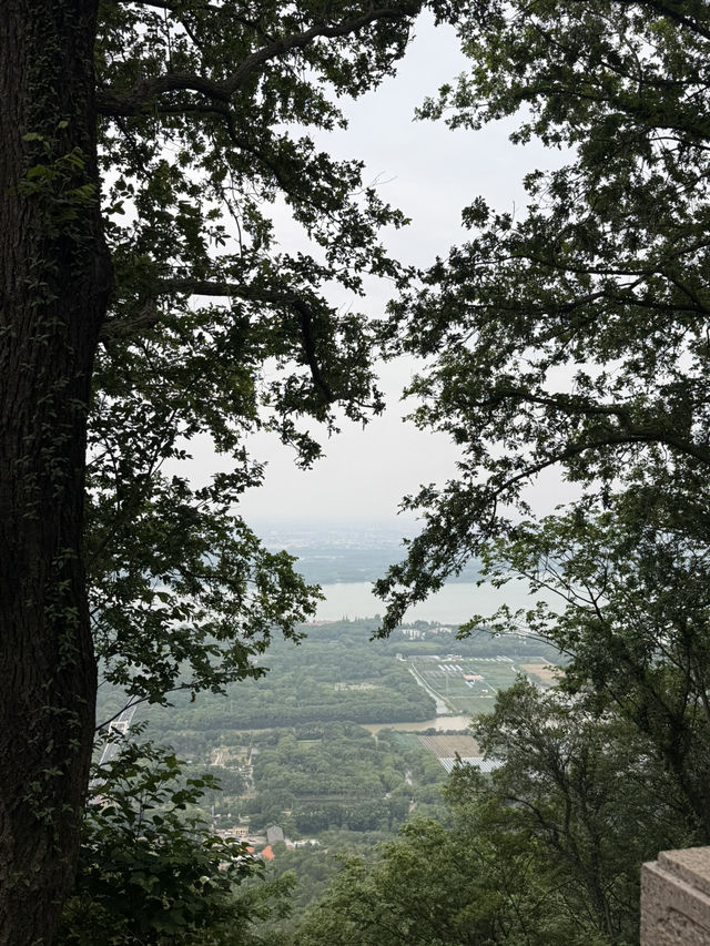Travel Journal: A Day in Changshu 🏞️