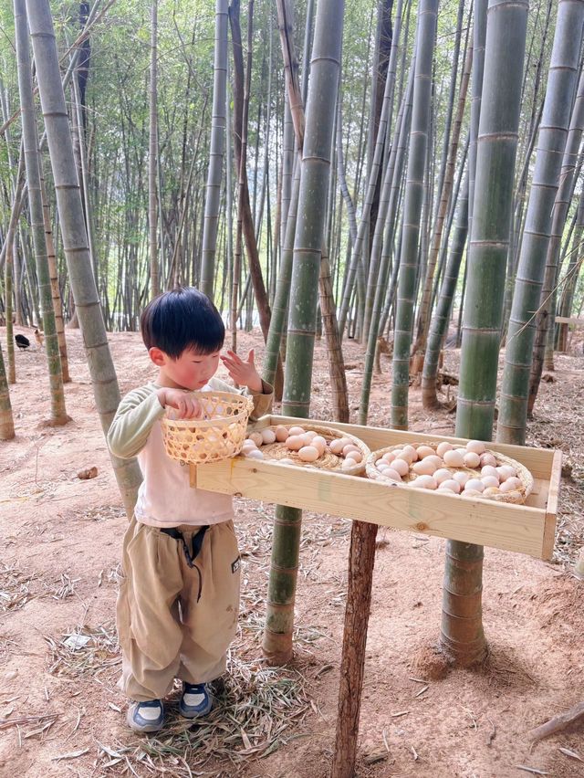 發朋友圈被問爆嘅加順農場