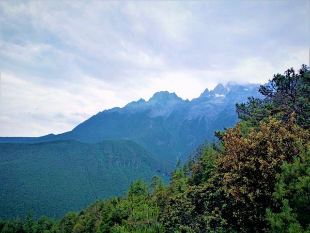 Shangri-La in Summer: Where the Tibetan Plateau Blooms Under Azure Skies