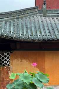 國清寺攻略·解鎖千年古剎的正確打開方式