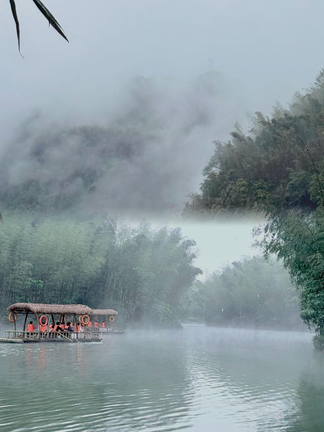 探秘蜀南竹海，沉醉於綠色夢境