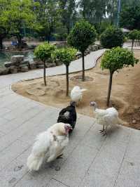 《太原》森林公園