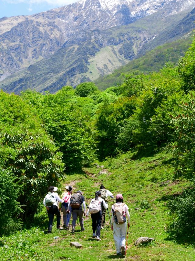 四川人嘅阿勒泰！4處空中牧場靚到想定居