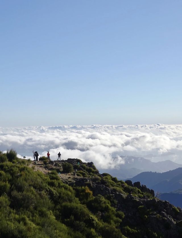 懸崖上的魔方劇場：馬德拉島千層文明解碼指南