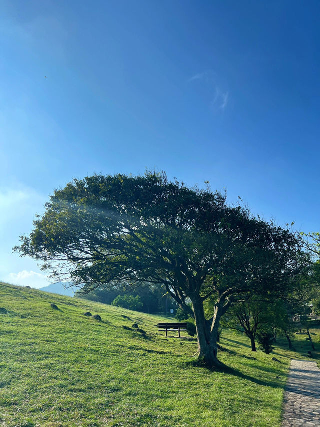 🌊香港行山必去！清水灣郊野公園隱藏版美景全攻略