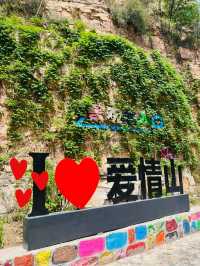 胡楊林最佳打卡指南