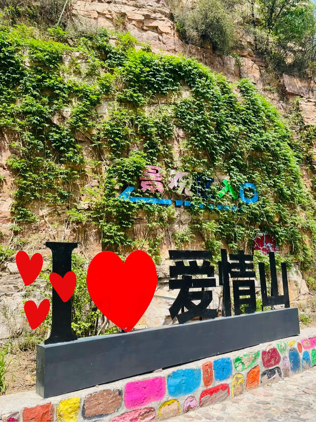 胡楊林最佳打卡指南