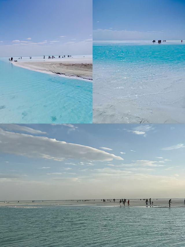 雲散月明誰點綴，天容海色本澄清。