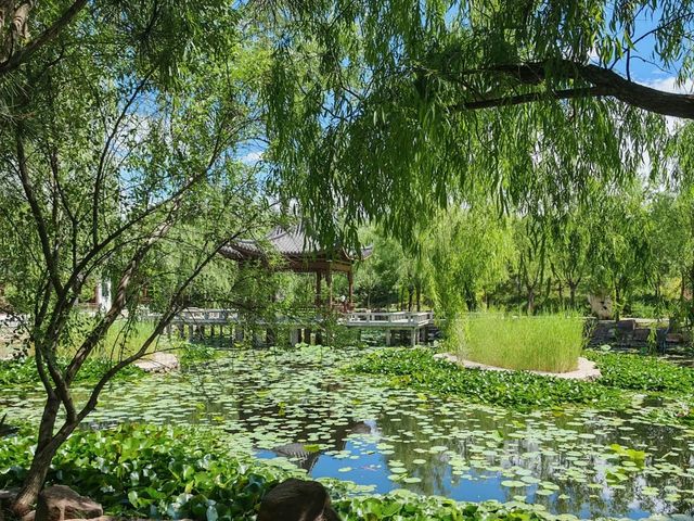 去咗4次康巴什旅遊區，終於玩到明！