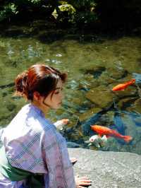 沿著伊豆回到箱根，住了兩日吉池旅館，終於明白為什麼它被說成「箱根必住」——看山看海看錦鯉，泡溫泉飲清酒，時間彷彿都慢了下來🍶