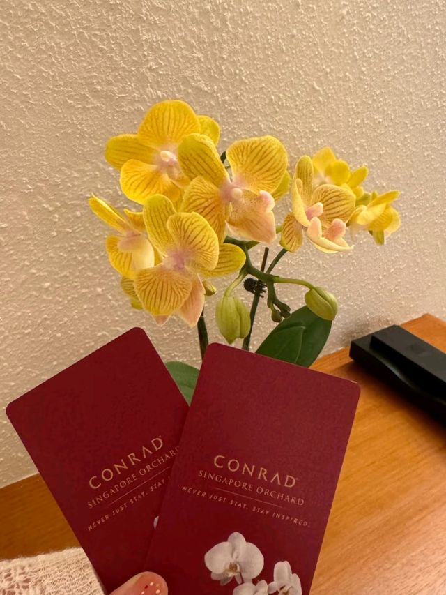 Singapore Orchard Road Conrad Hotel 🇸🇬 is worth staying