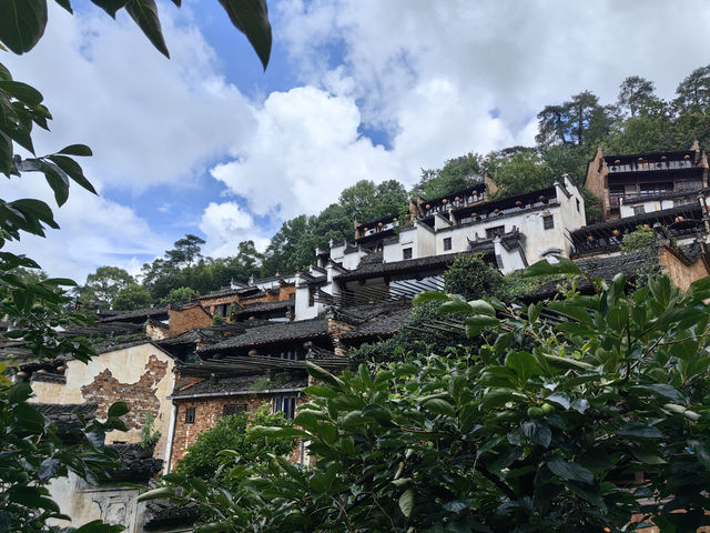 唔喺秋天都可以影到曬秋嘅篁嶺