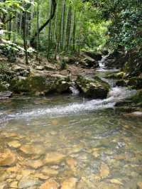 寧波秘境虹嶺古道·綠野仙蹤般的溯溪天堂