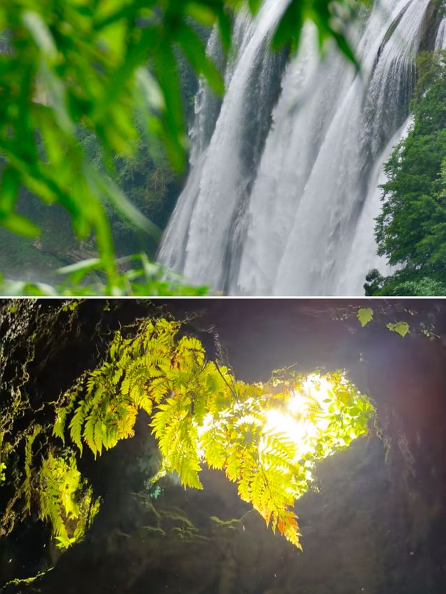 綠染貴州｜荔波的夏天是被水浸潤的綠