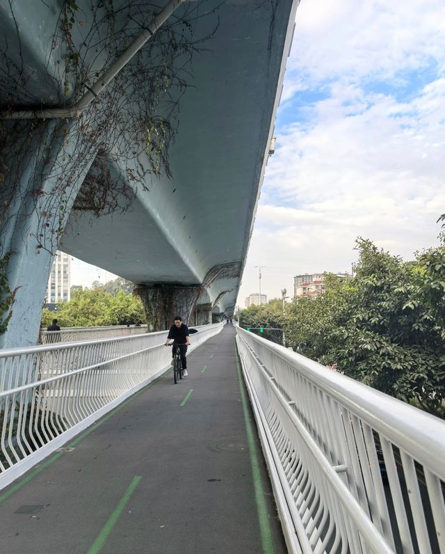 廈門單車大狂歡，住呢度直接爽到飛起！