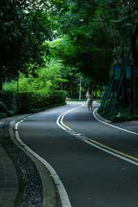 台州人少景美公園