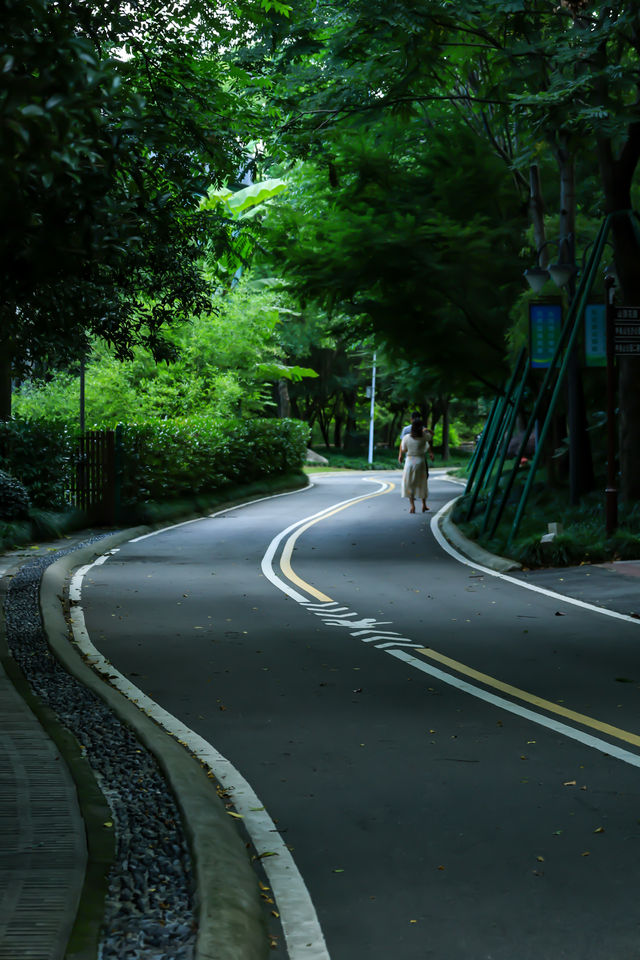 台州人少景美公園